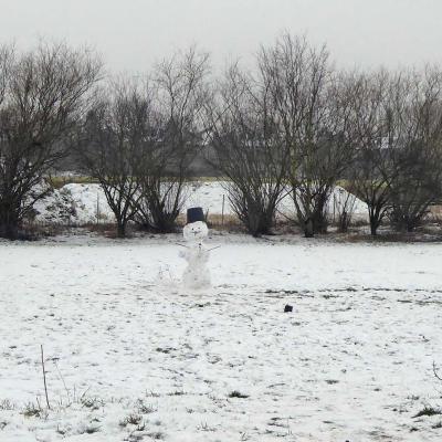 Schnee P1020698